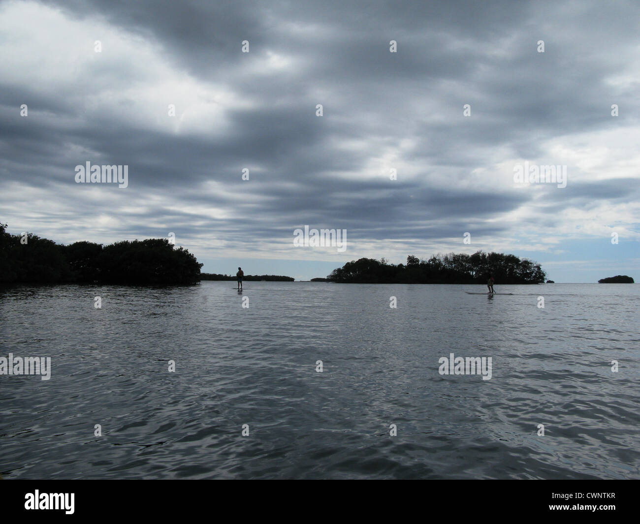 Stand Up Paddle Surfen in La Parguera, Puerto Rico Stockfoto