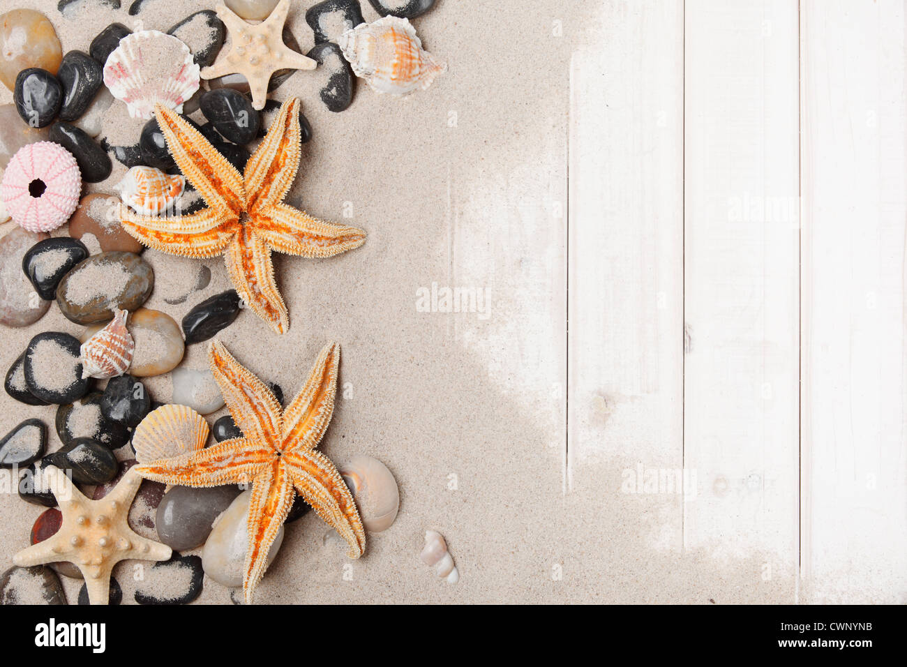 Sterne-Fisch, Kies, Sand und Holz Hintergrund. Stockfoto