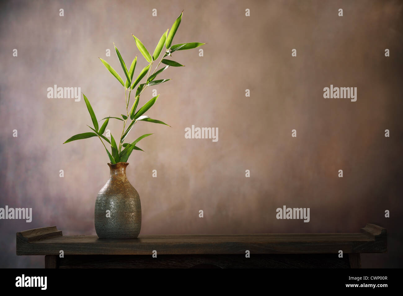 Bambusblatt in Vase, Zen-Konzept. Stockfoto
