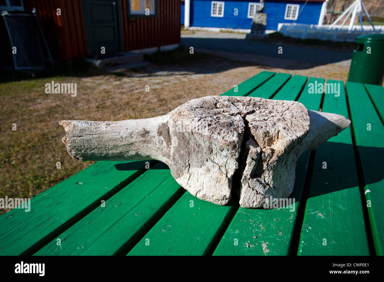 Alten Wal-Wirbel auf dem Tisch in der Nähe des Museums in Sisimiut, die zweitgrößte Stadt in Grönland Stockfoto