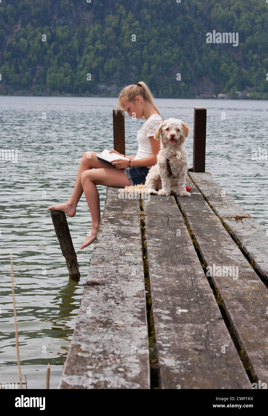 Österreich, Teenage Girl Lesebuch neben Hund auf Steg Stockfoto