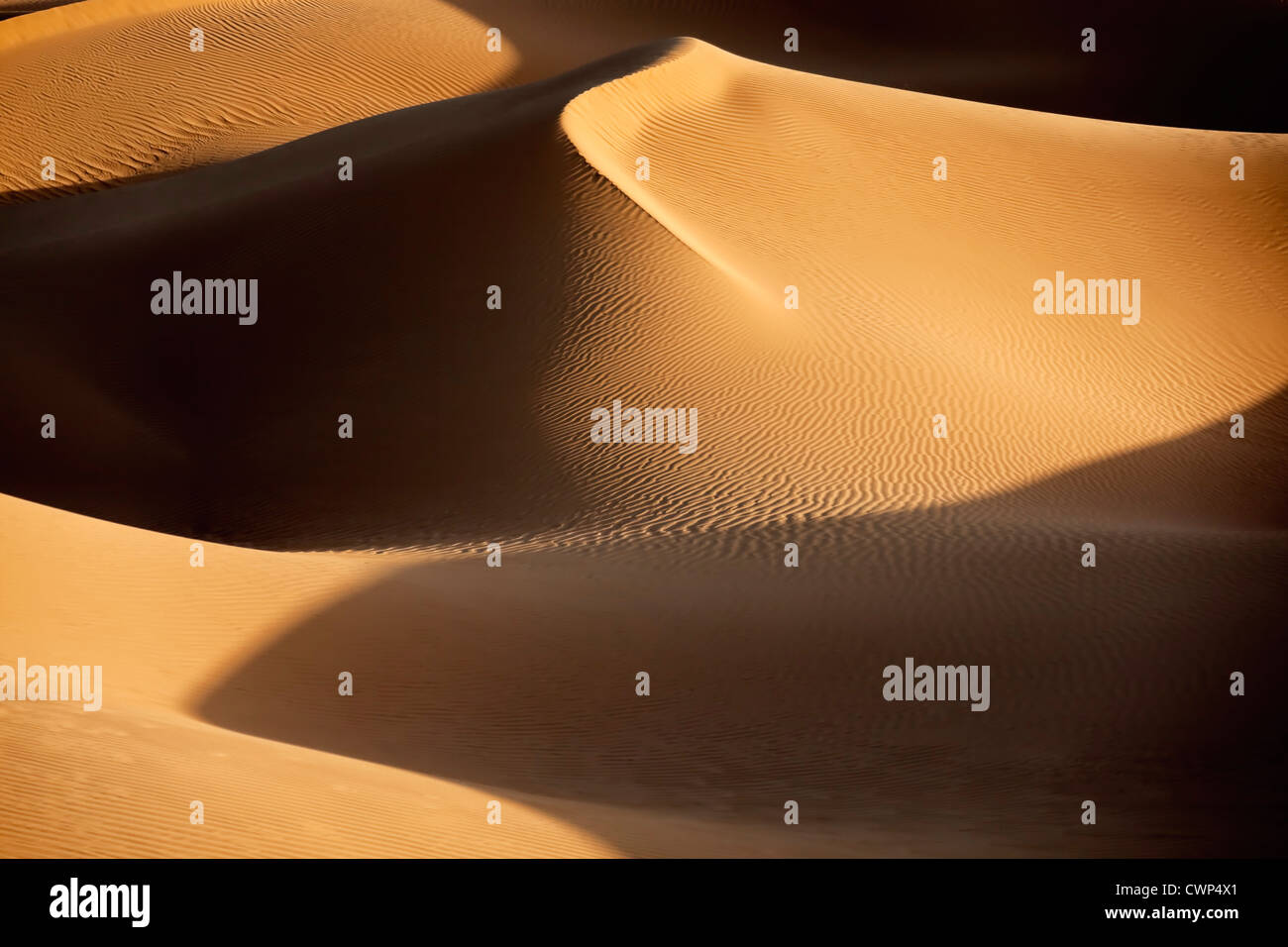 Sanddünen mit Schatten in der Sahara Wüste von Marokko. Stockfoto