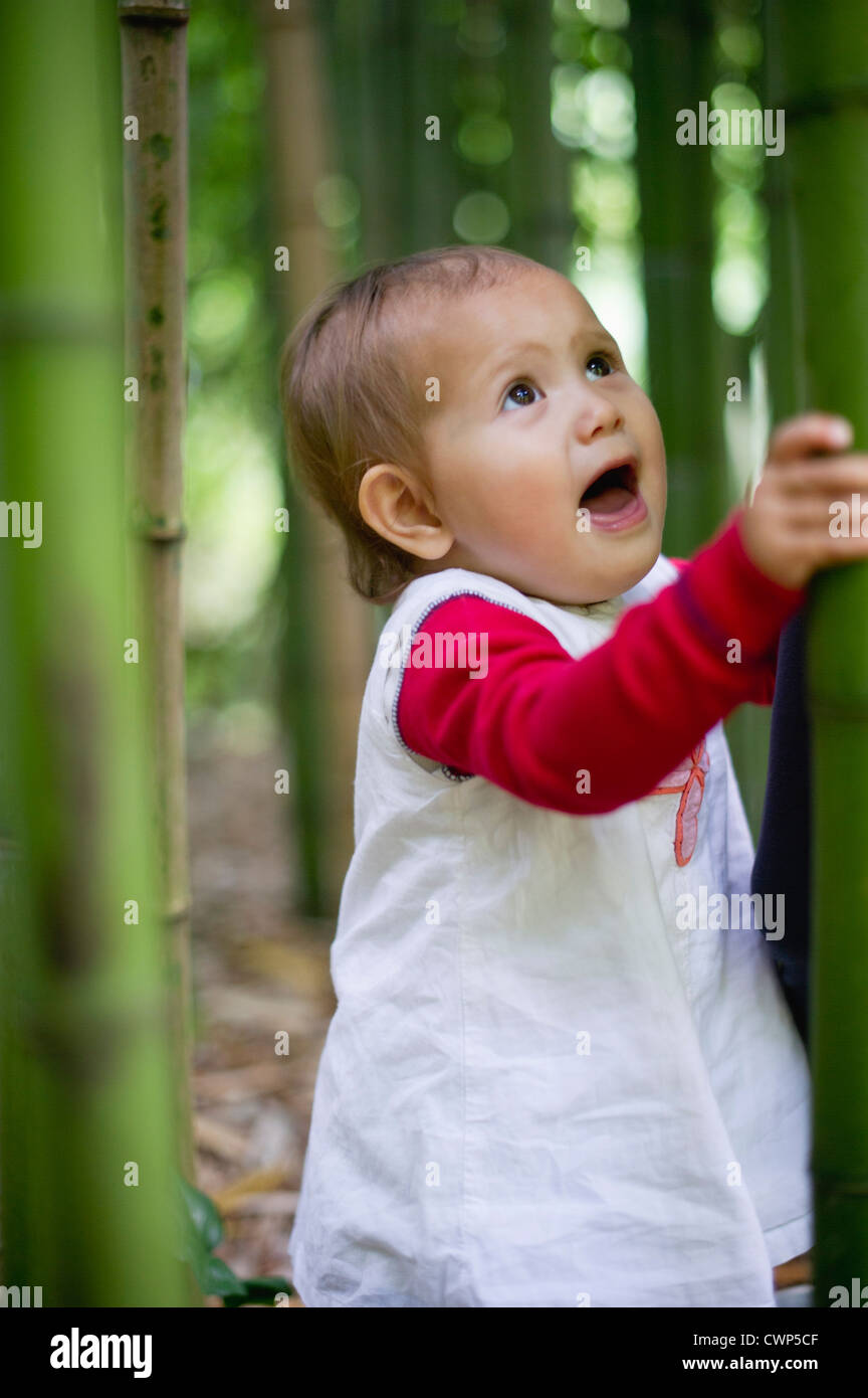 Babymädchen im Bambushain Stockfoto