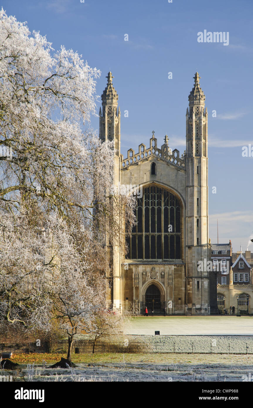 Anzeigen der spätgotischen Kapelle und Bäume in Raureif, gesehen von The Backs, Kings College Chapel, Cambridge, Cambridgeshire, Stockfoto