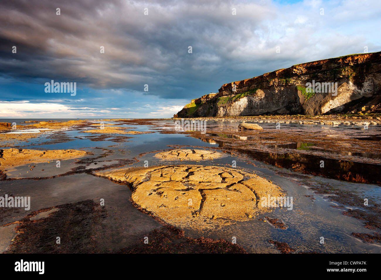 Schild-Riffe gegen Bay, in der Nähe von Whitby Stockfoto