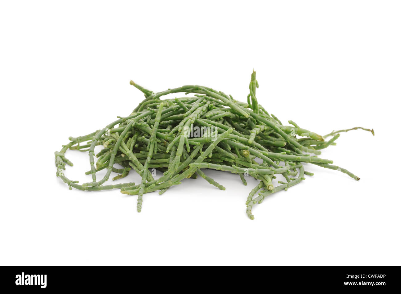 Reihe von Queller auf weißem Hintergrund Stockfoto