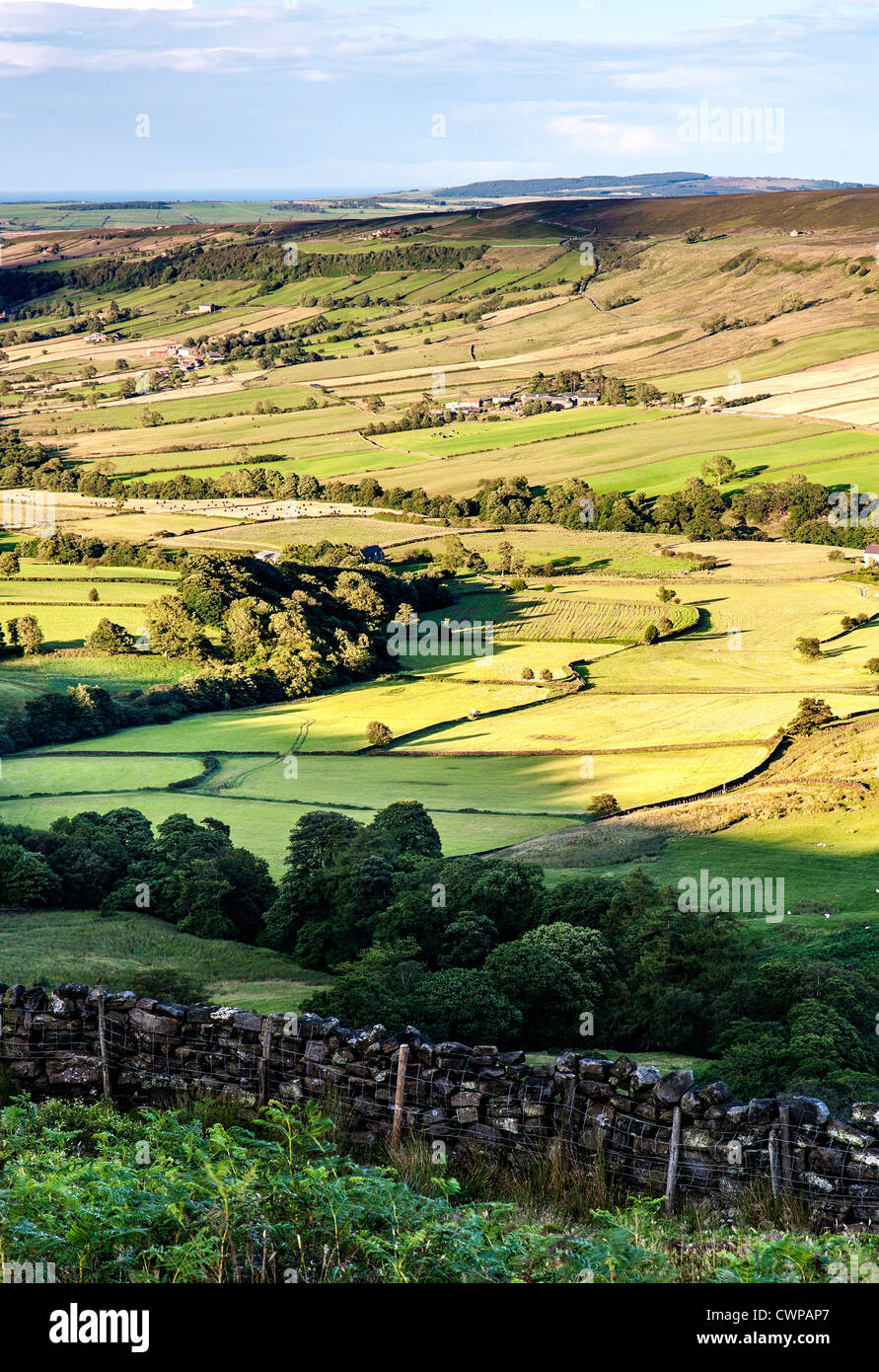Ein Blick auf Danby Dale aus Danby Rigg auf der North Yorkshire Moors Stockfoto