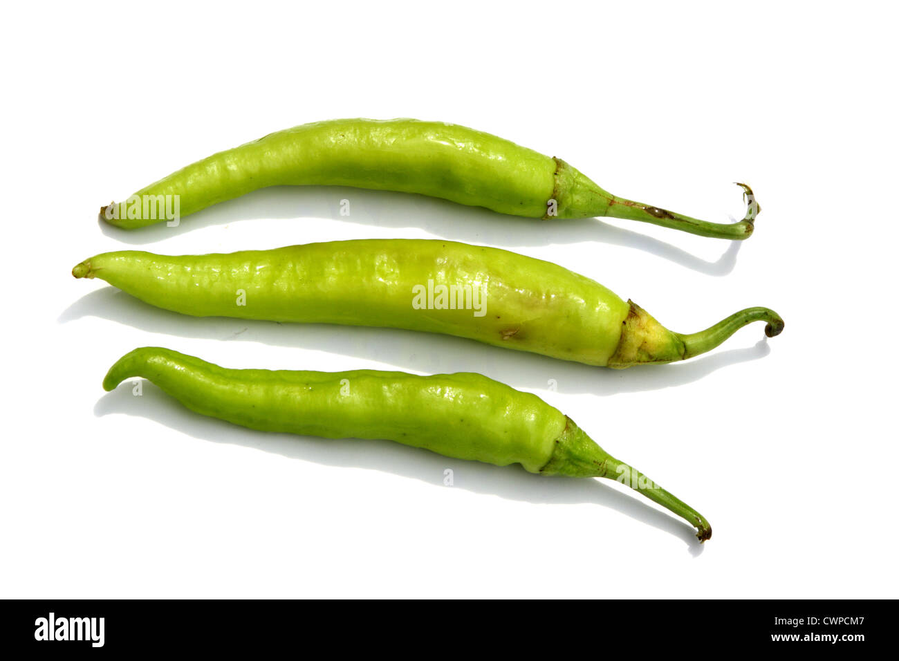 Grüne Chilischoten auf weißem Hintergrund Stockfoto