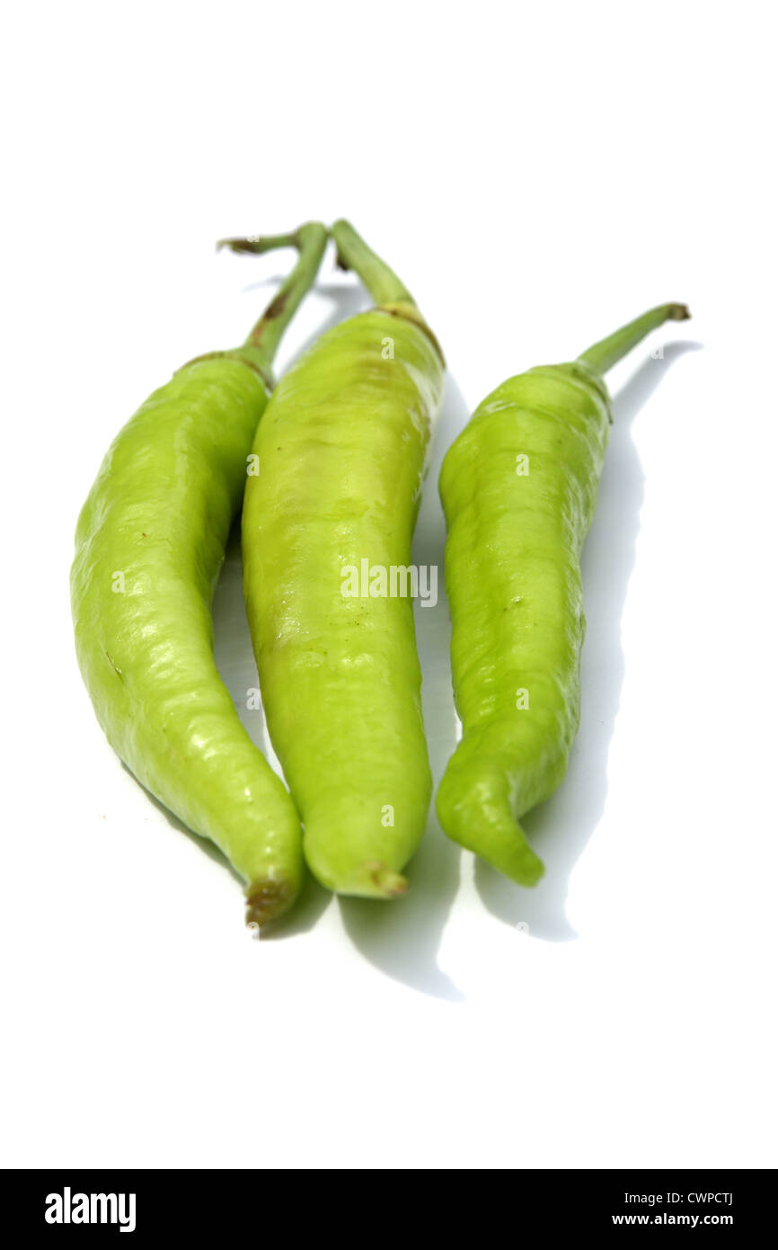 Grüne Chilischoten auf weißem Hintergrund Stockfoto