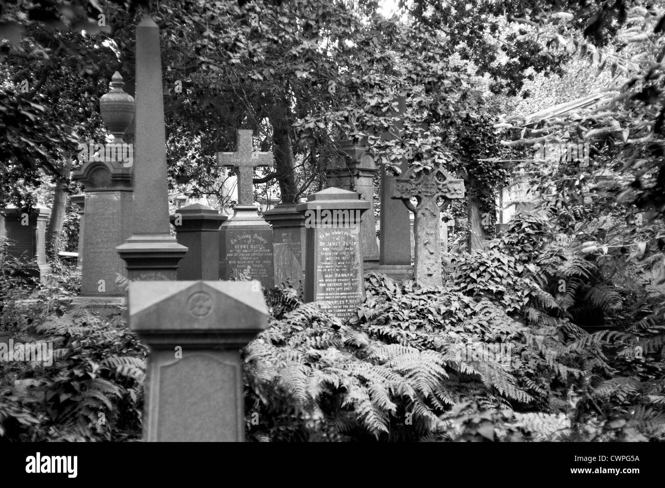 Abney Garten Friedhof, Stoke Newington, London, UK. Schwarz / weiß Bild. Stockfoto