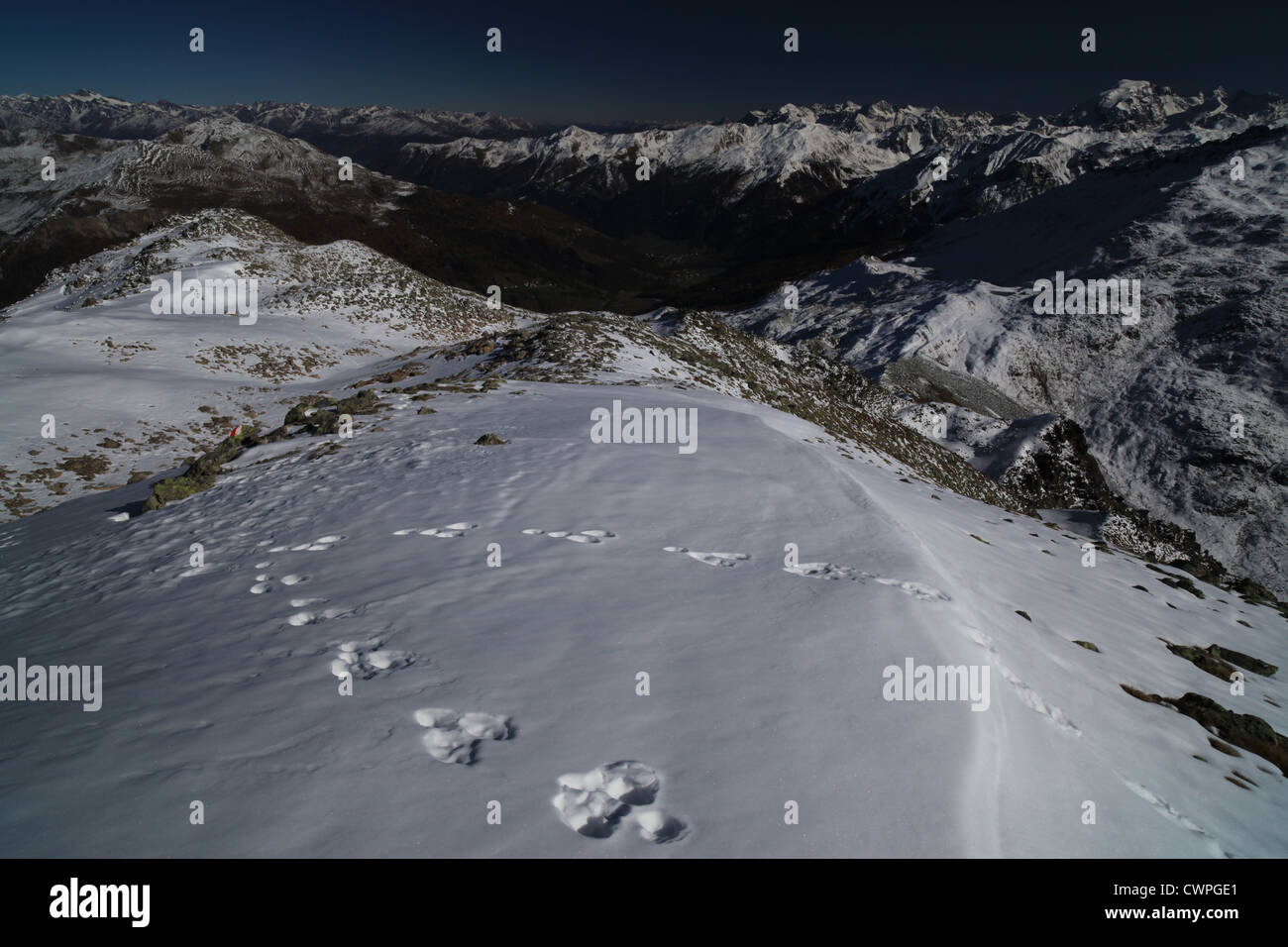 Auf Schweizerischer Nationalpark Stockfoto