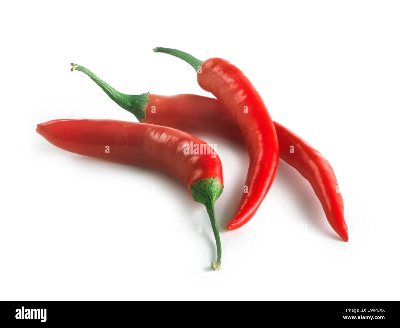 Capsicum Annuum, Chili Stockfoto