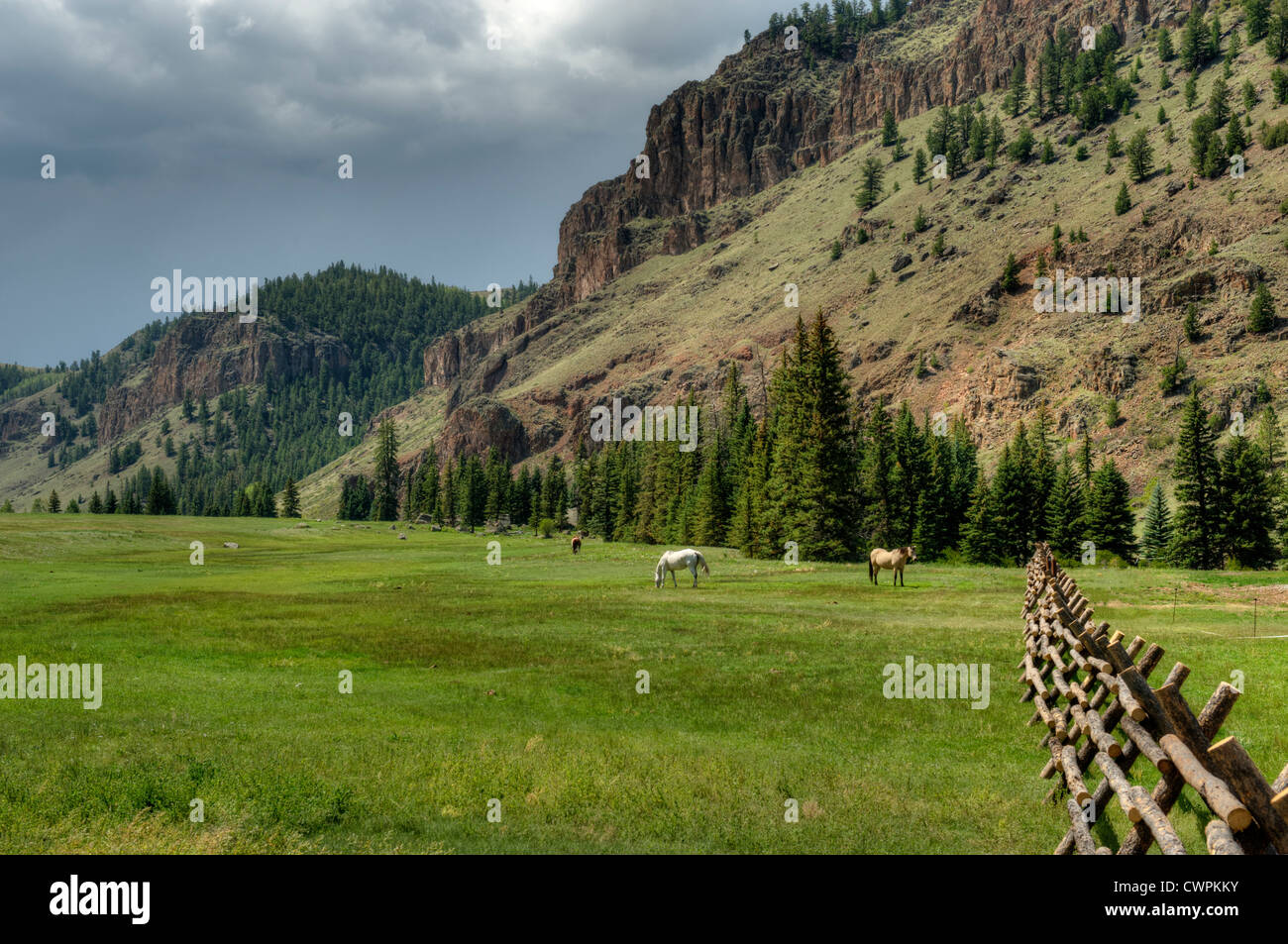Eine Ranch am Cebolla Creek im Norden Hinsdale County, Colorado Stockfoto