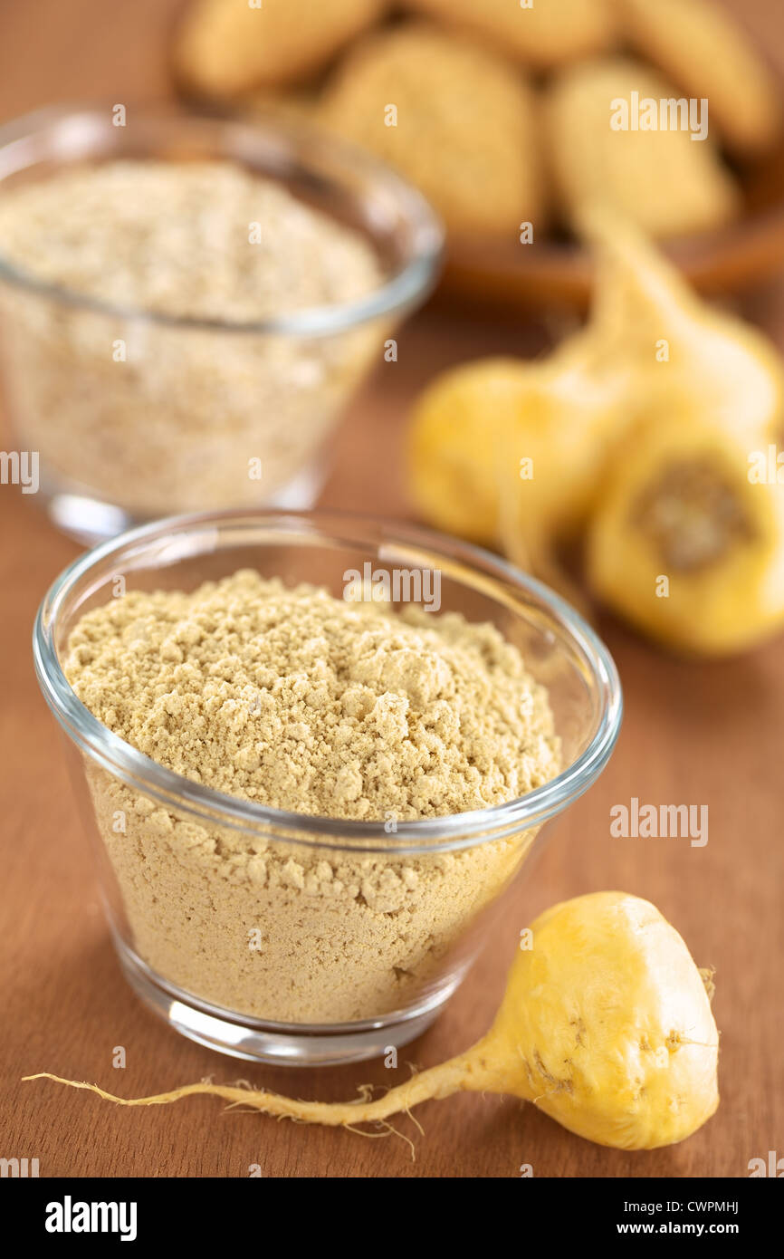 Maca Pulver (Mehl) in Glasschale mit Maca Wurzeln oder peruanischer Ginseng (lat. Lepidium Meyenii) und andere peruanische Maca-Produkte Stockfoto