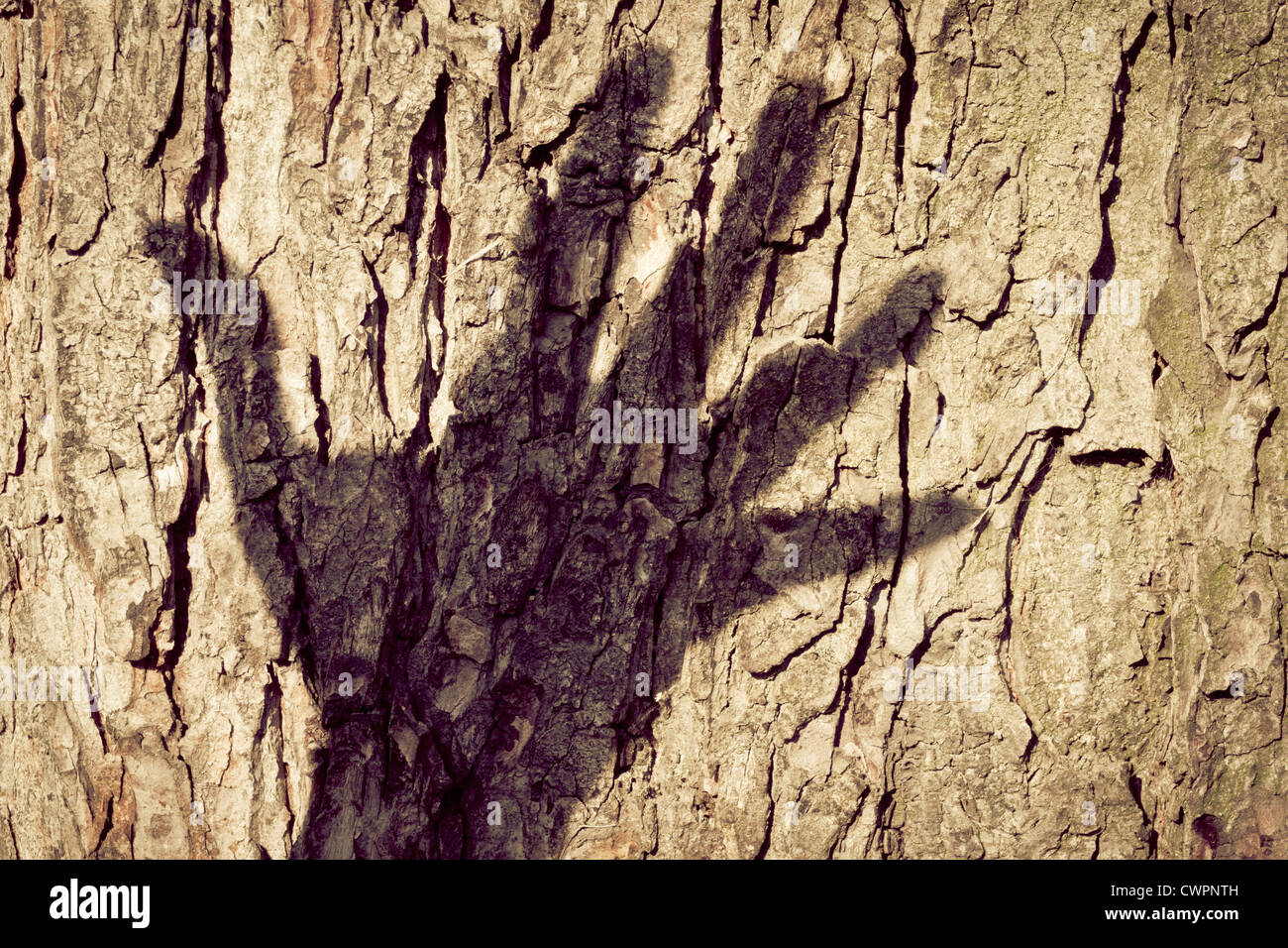 Hand-Schatten an einem Baumstamm Stockfoto