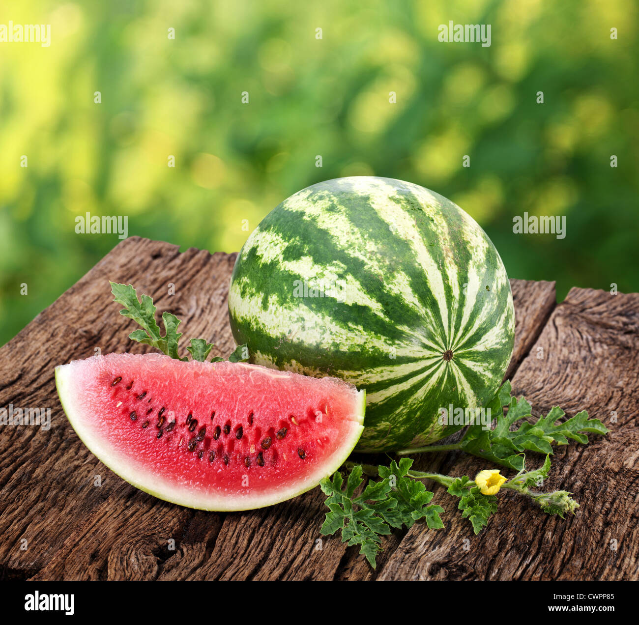 Wassermelone mit einer Scheibe und Blätter auf einem Holztisch. Hintergrund - Unschärfe der Natur. Stockfoto