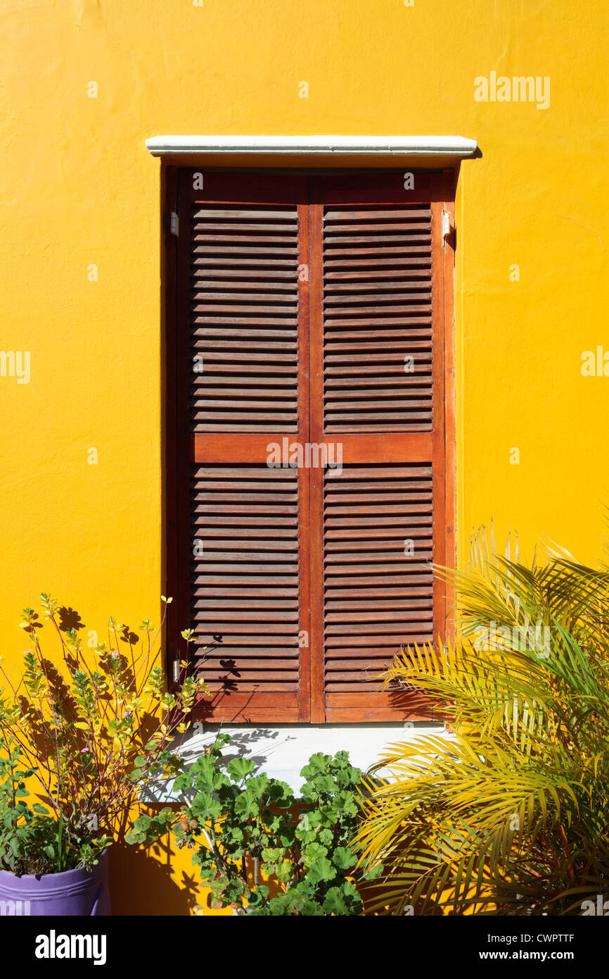 Shuttered Fenster und gelbe Wand Stockfoto