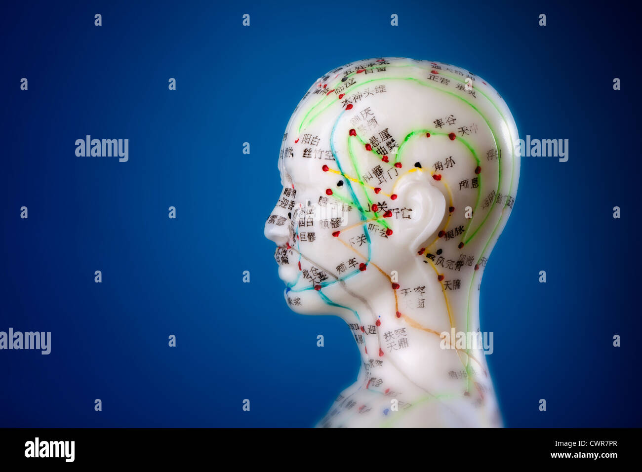 Ein weibliches Modell mit markierten Akupunkturpunkte, chinesischen Schriftzeichen auf den Meridianen, traditionelle chinesische Medizin Stockfoto