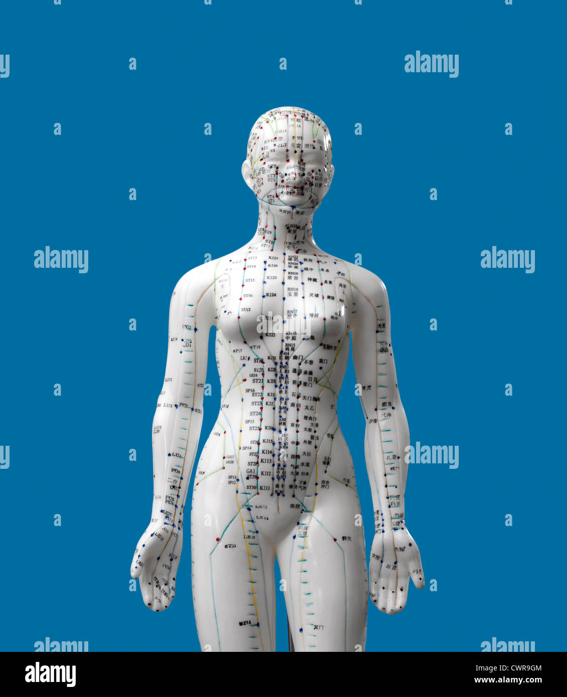 Ein weibliches Modell mit markierten Akupunkturpunkte, chinesischen Schriftzeichen auf den Meridianen, traditionelle chinesische Medizin Stockfoto