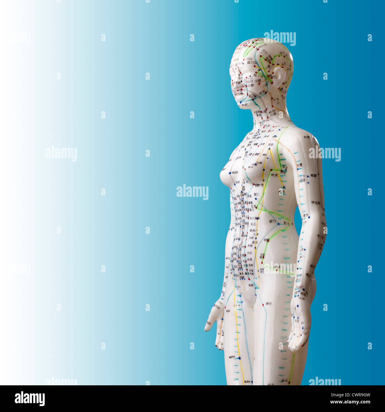 Ein weibliches Modell mit markierten Akupunkturpunkte, chinesischen Schriftzeichen auf den Meridianen, traditionelle chinesische Medizin Stockfoto