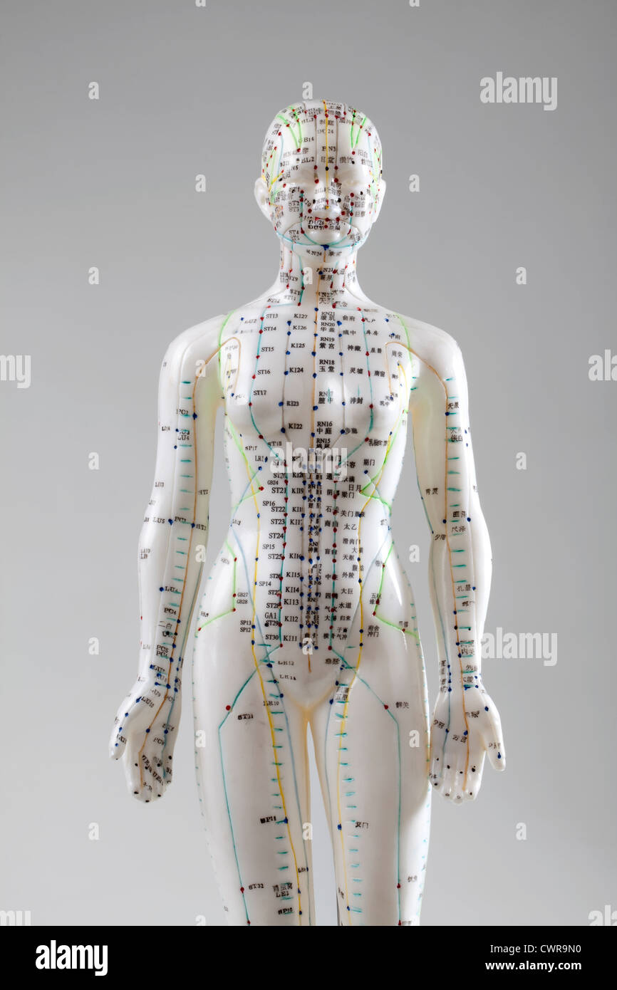 Ein weibliches Modell mit markierten Akupunkturpunkte, chinesischen Schriftzeichen auf den Meridianen, traditionelle chinesische Medizin Stockfoto