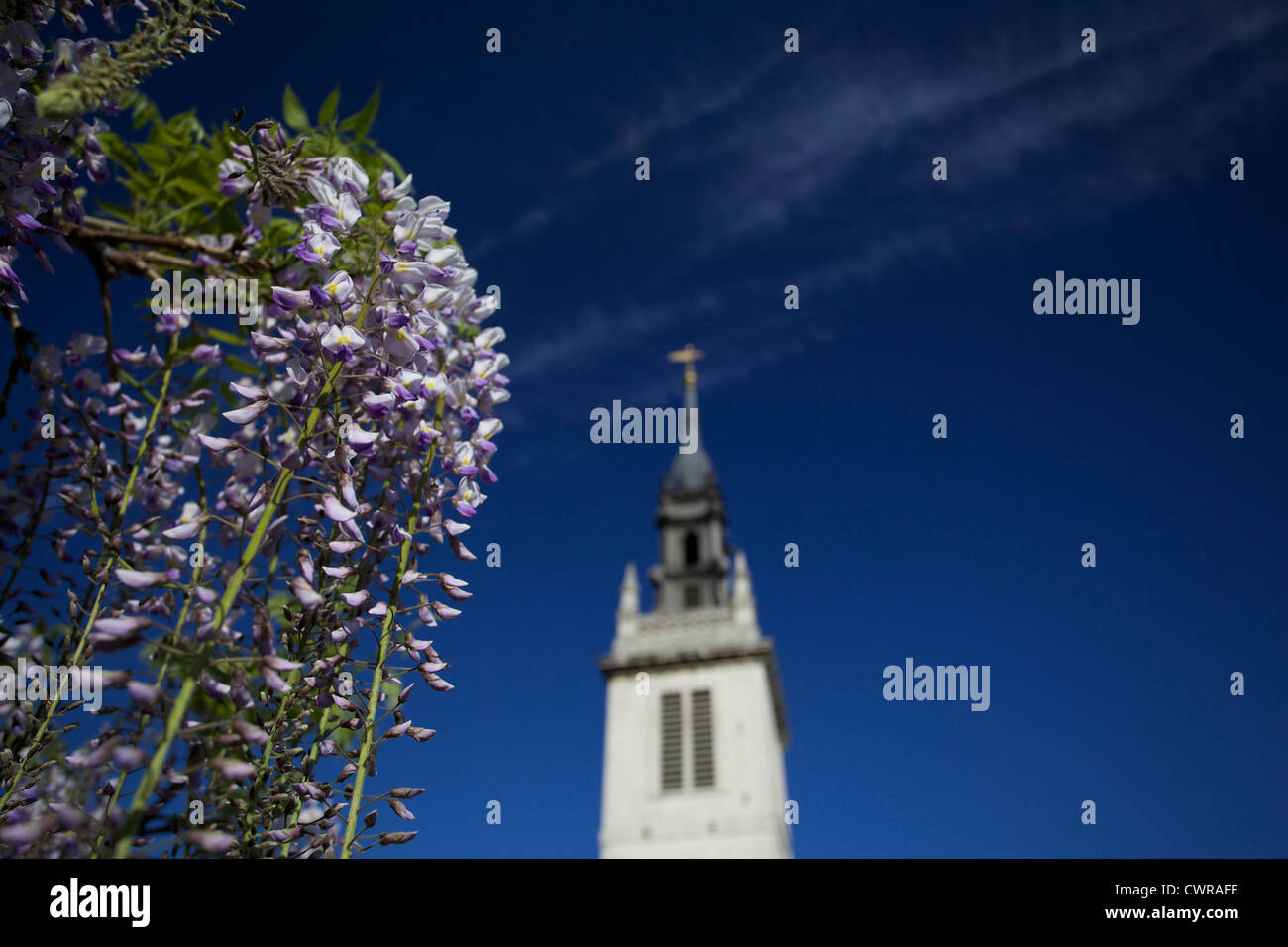 Kirche Turm gegen einen strahlend blauen Himmel mit lila Blumen im Vordergrund Stockfoto