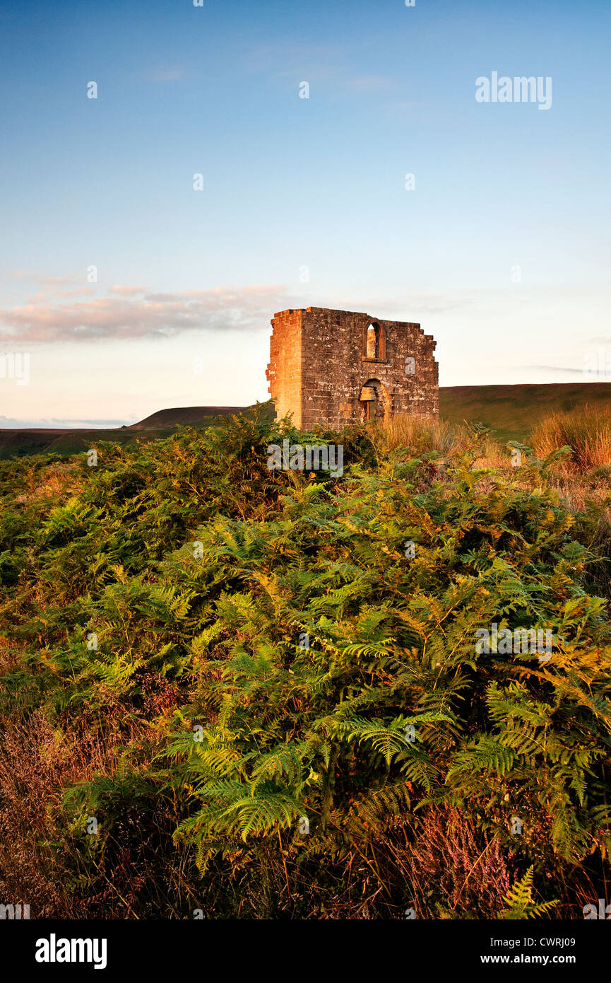 Die Ruine der Skelton Turm mit Blick auf newtondale in der North Yorkshire Moors National Park Stockfoto
