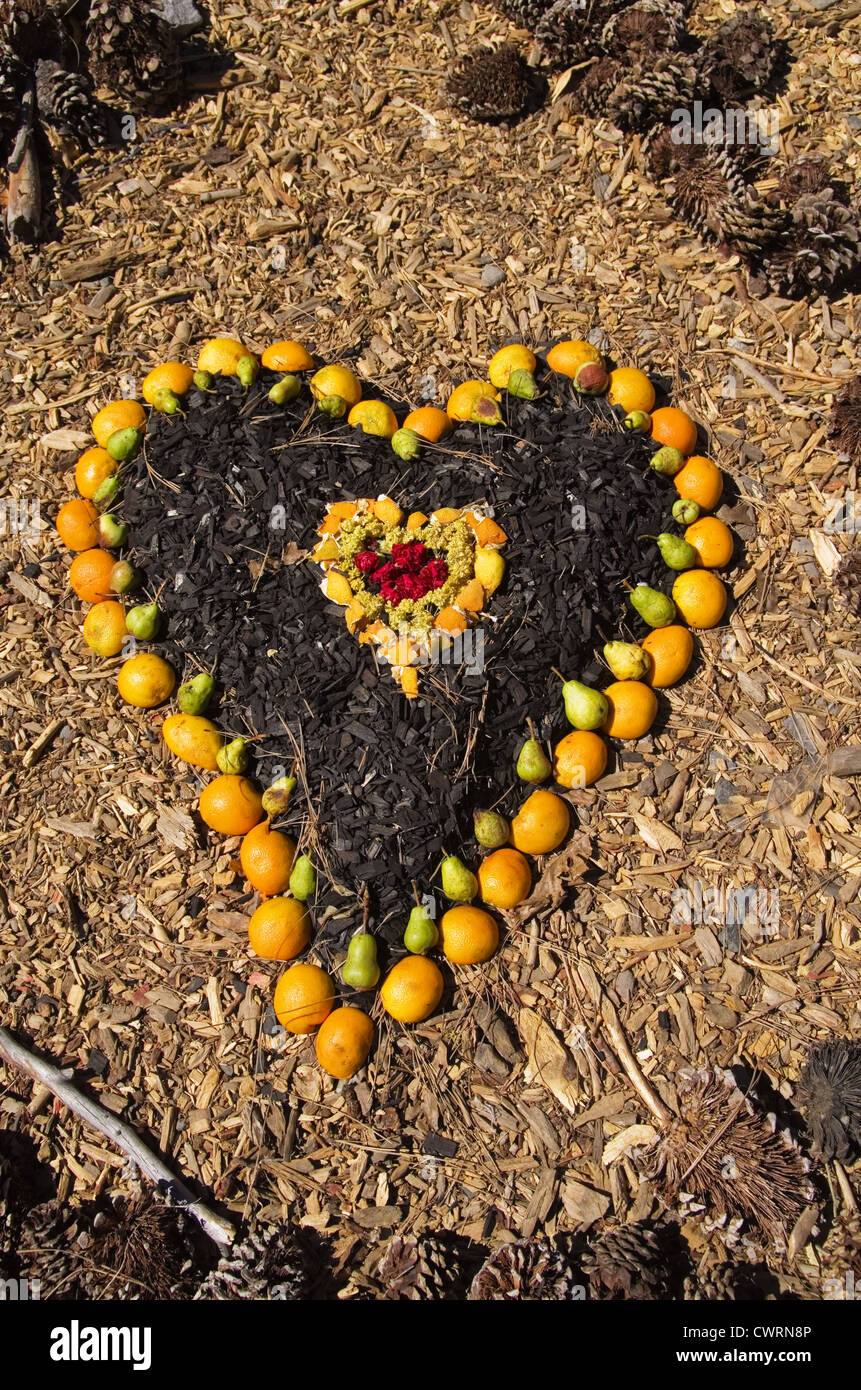 Herz mit Orangen Birnen Hackschnitzel und andere natürliche Dinge gemacht Stockfoto