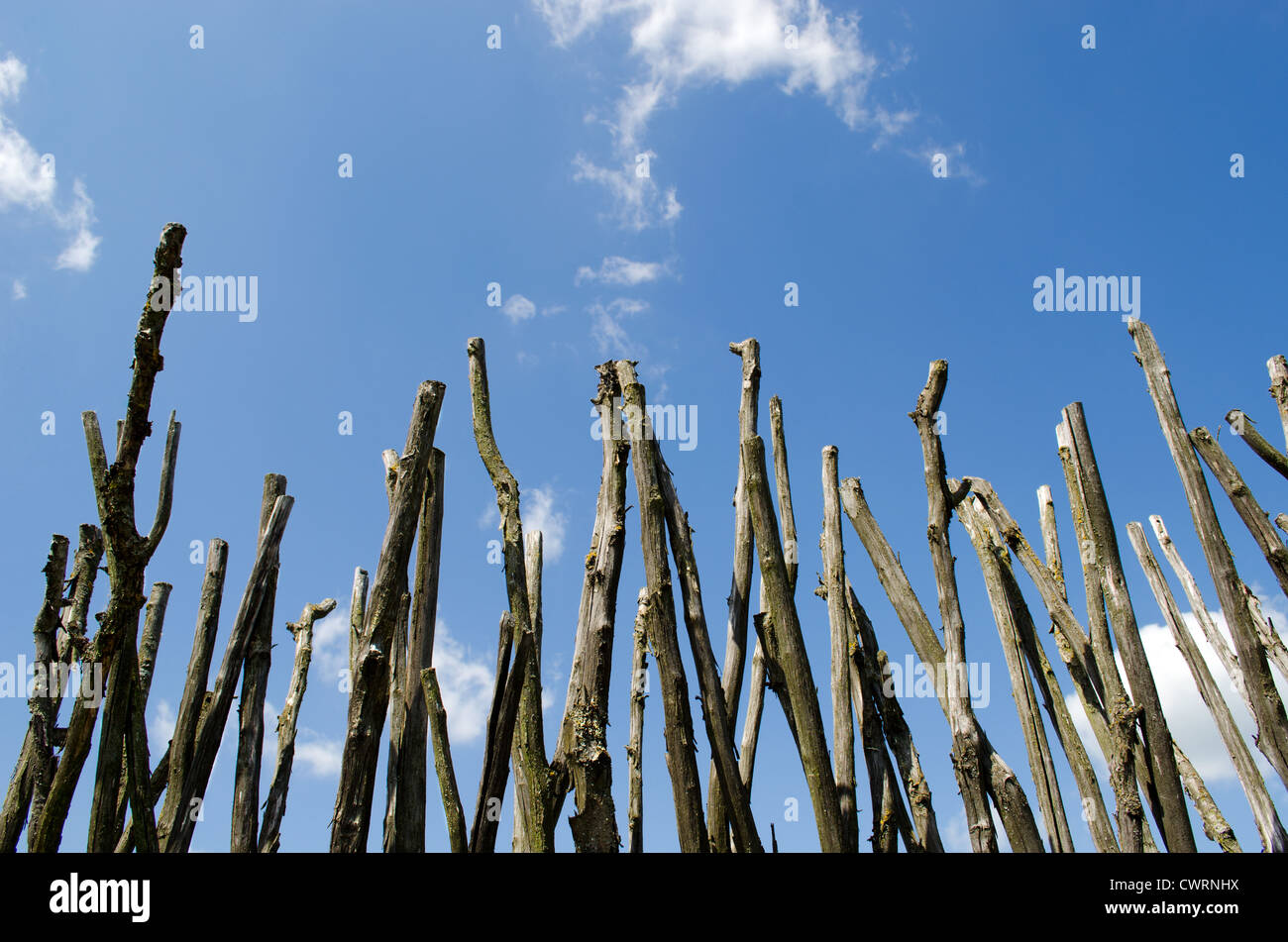 Zaun aus ästen Fotos und Bildmaterial in hoher Auflösung Alamy