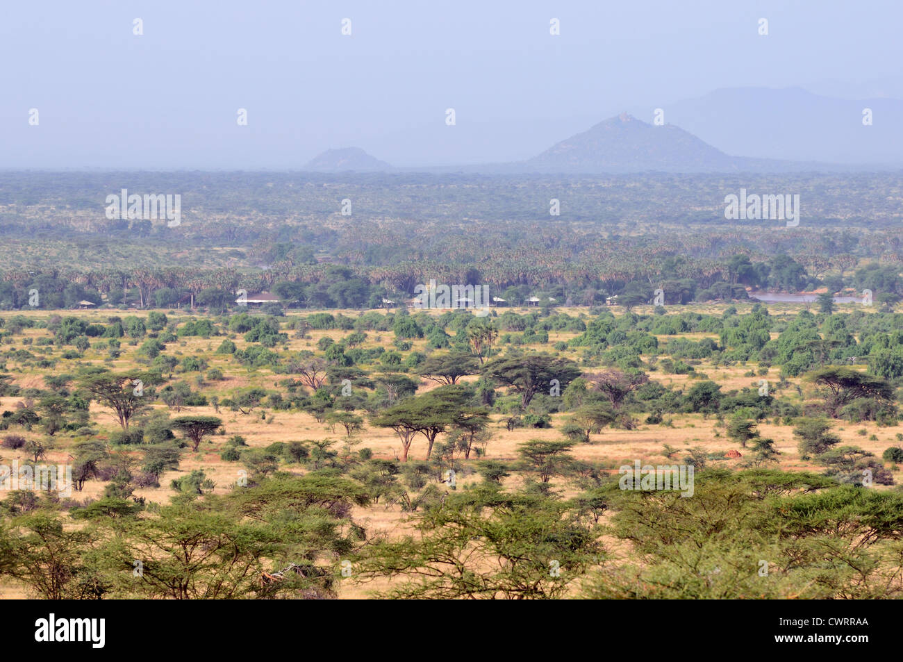 Savannenlandschaft im Samburu Stockfoto