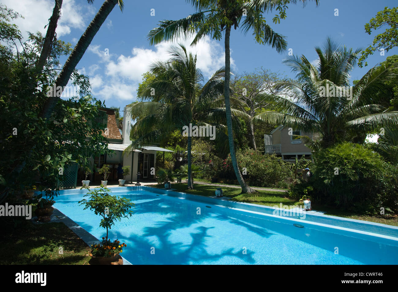 SCHWIMMBAD ERNEST HEMINGWAY HOME MUSEUM (©ASA TIFT 1851) KEY WEST ALTSTADT HISTORISCHES VIERTEL FLORIDA USA Stockfoto