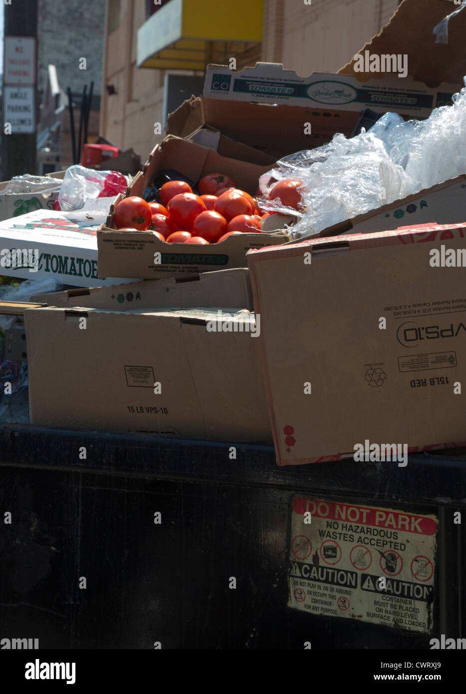 Detroit, Michigan - Tomaten in eine Mülltonne am osteuropäischen Markt, einen großen Wochenmarkt in der Nähe von Downtown Detroit geworfen. Stockfoto