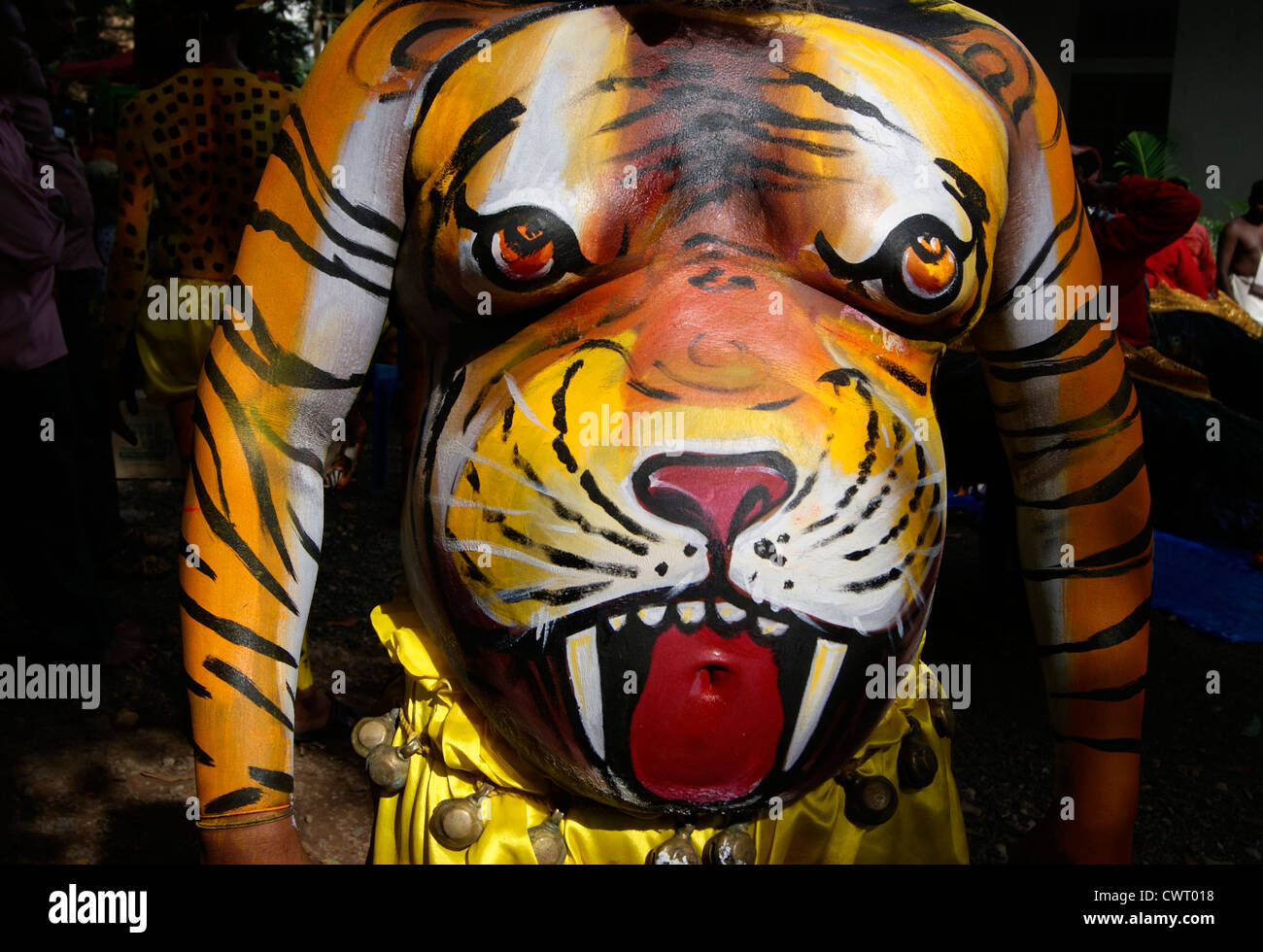Tiger-Gesicht auf Körper-Kunst aus Pulikali Tänzerin Bauch Bauch in Onam feiern im indischen Kerala India.Recreational Volkskunst Stockfoto