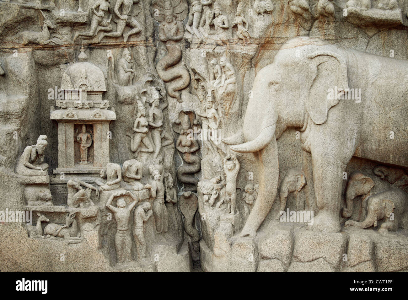 Die Buße von Arjuna - Abstieg des Ganges, Basrelief in Mahabalipuram, Indien Stockfoto