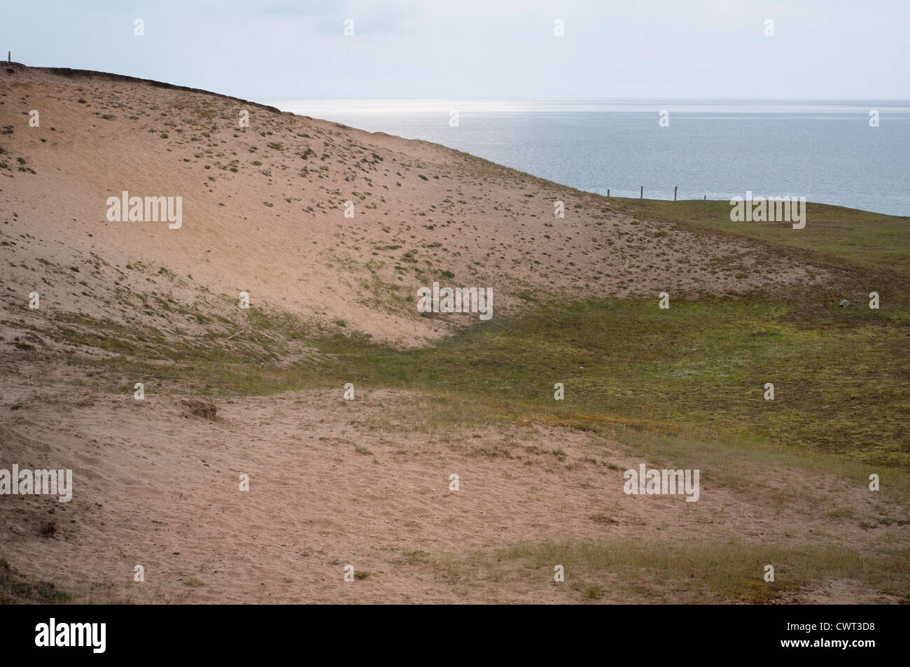 Sandy Moor, reich an Kalk, ist ein wertvolles Biotop mit seltenen Pflanzen Stockfoto