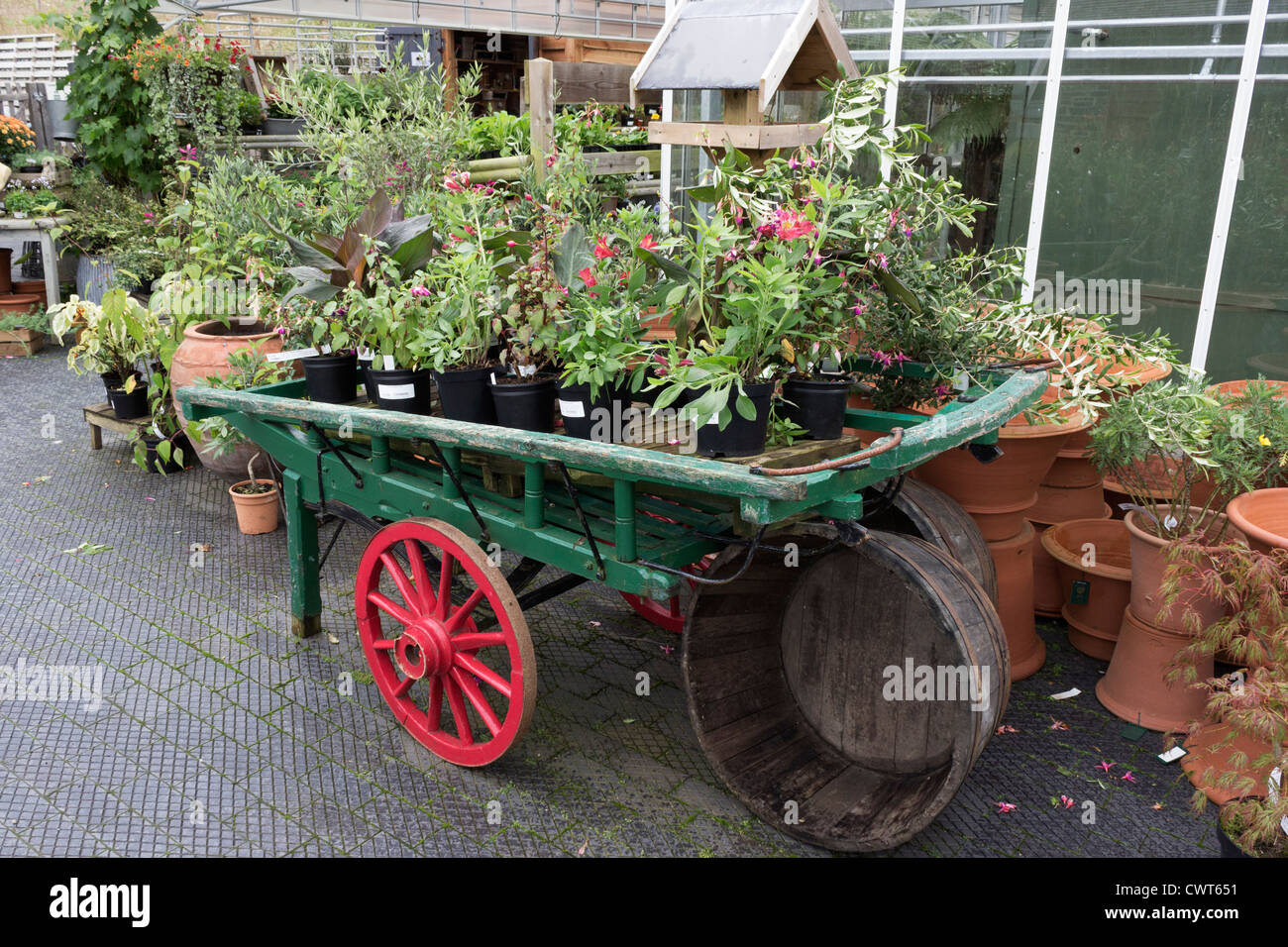 Anzeige im Herzogtum Cornwall Kindergarten Stockfoto