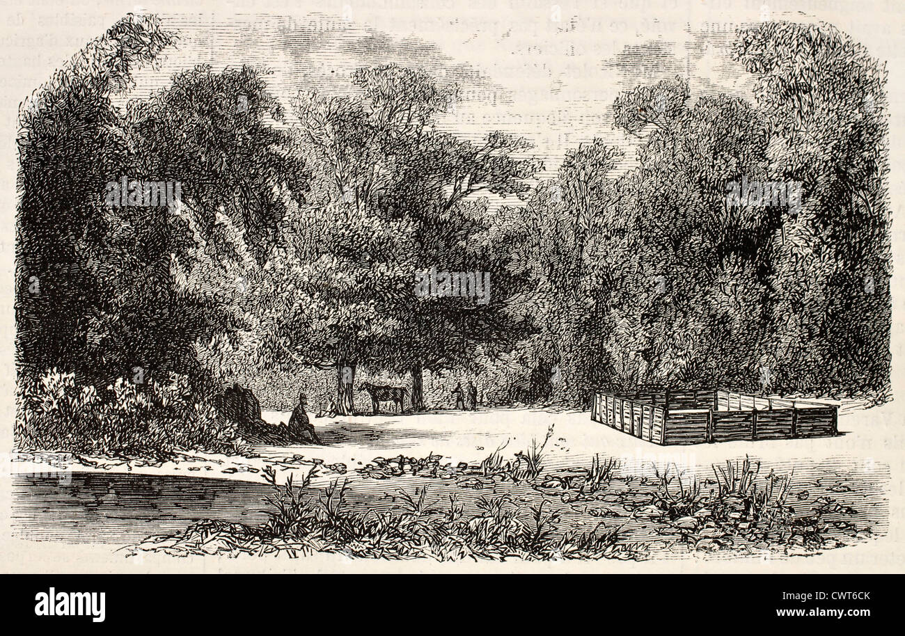 Astroni königlichen Jagdrevier Stockfoto