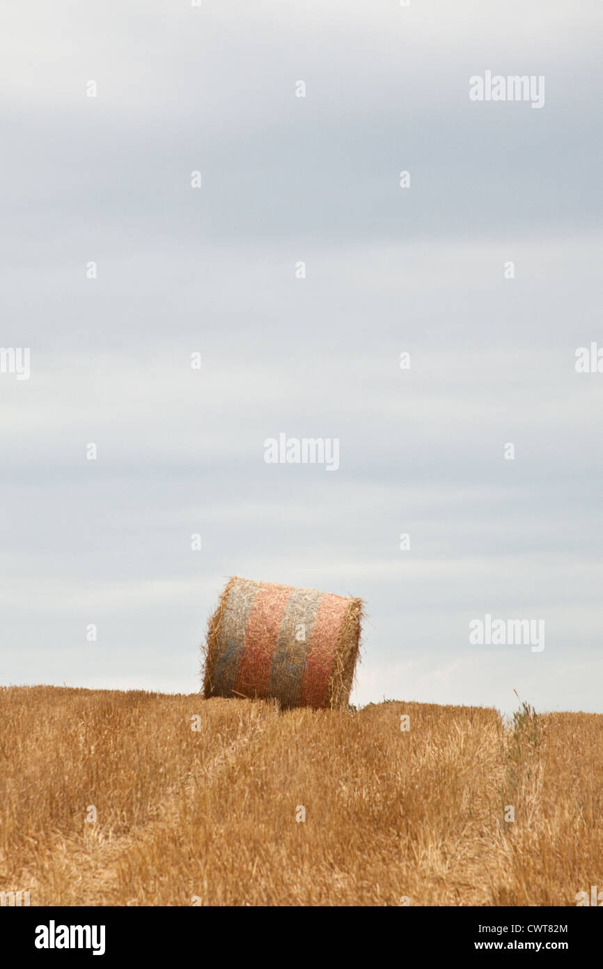 Stroh Rundballen, Hampshire, England, Vereinigtes Königreich. Stockfoto