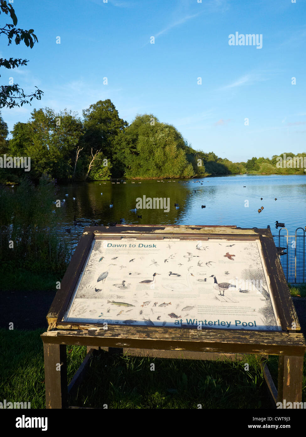 Winterlicher pool Fotos und Bildmaterial in hoher Auflösung Alamy