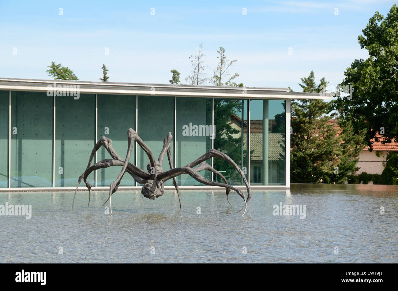 Skulptur der Giant Crouching Spider von Louise Bourgeois im Château La Coste Art Centre von Tadao Ando Le Puy-Sainte-Réparade Provence Stockfoto