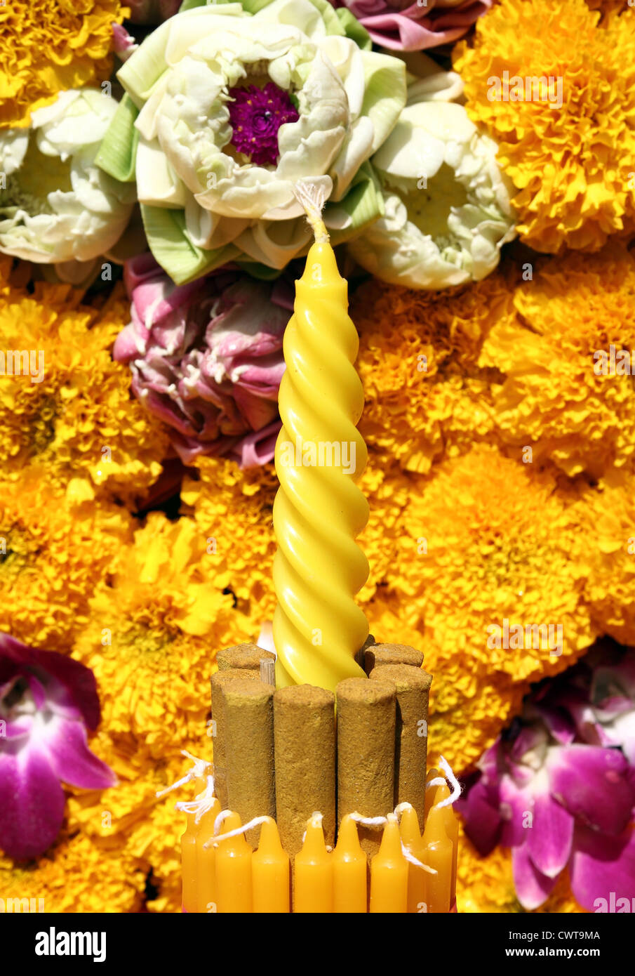 Räucherstäbchen und Blumen, Orchideen, Ringelblume in Loy Krathong Festival, Thailand Stockfoto