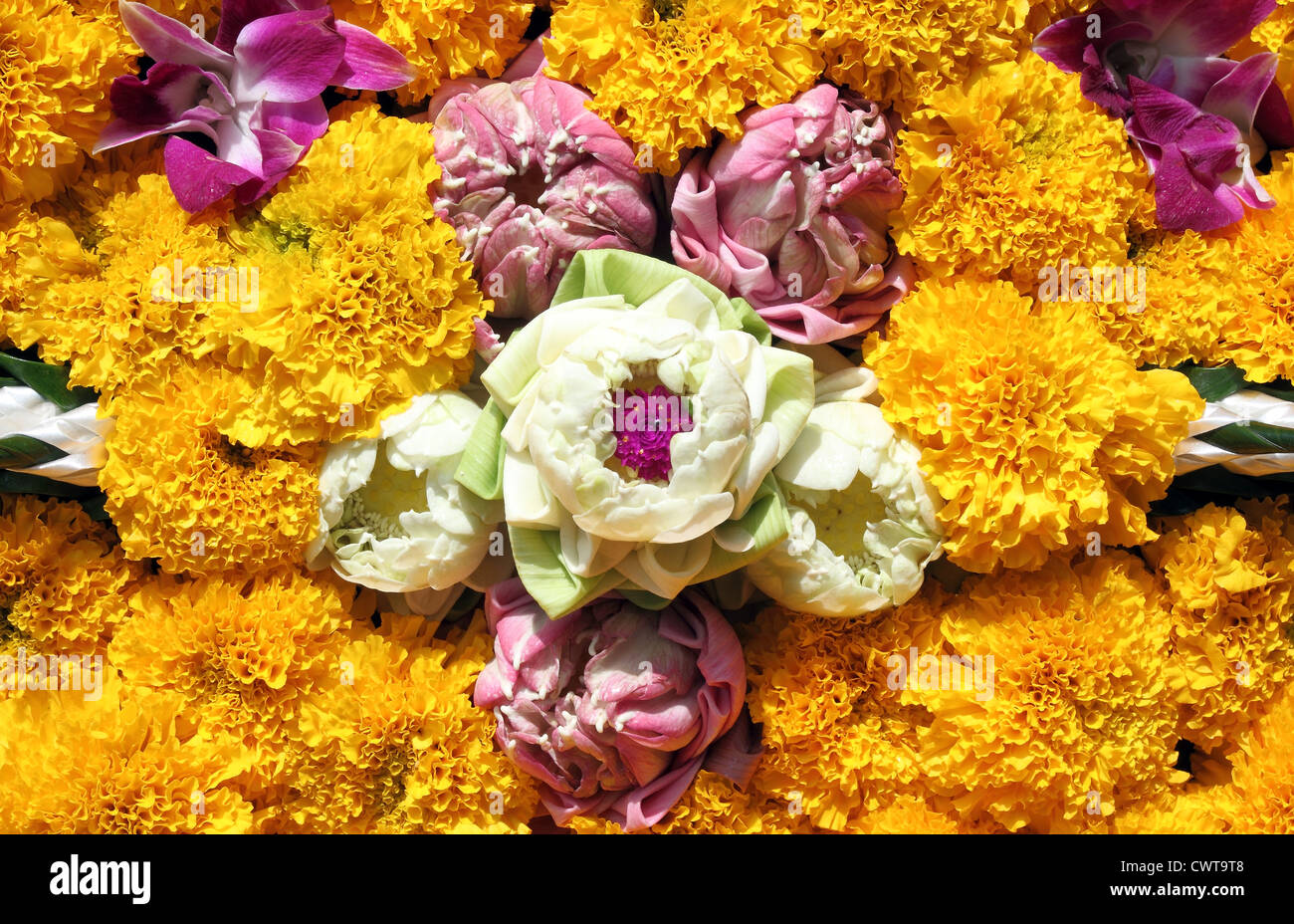 Lotus, Orchideen, Ringelblume für Loy Krathong Festival, Thailand Stockfoto