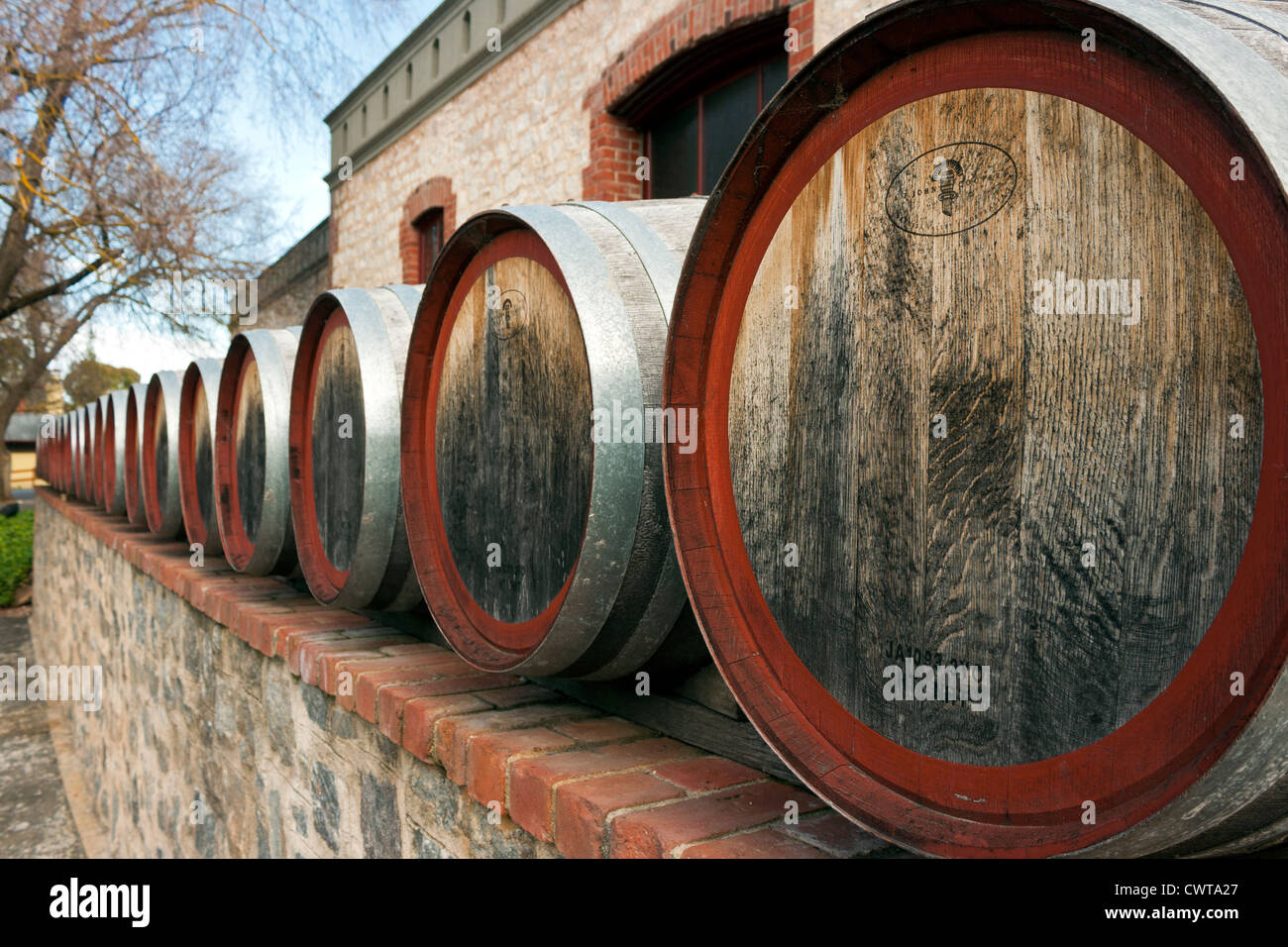 Weinfässer im Yalumba Winery Süd Asutralia Stockfoto