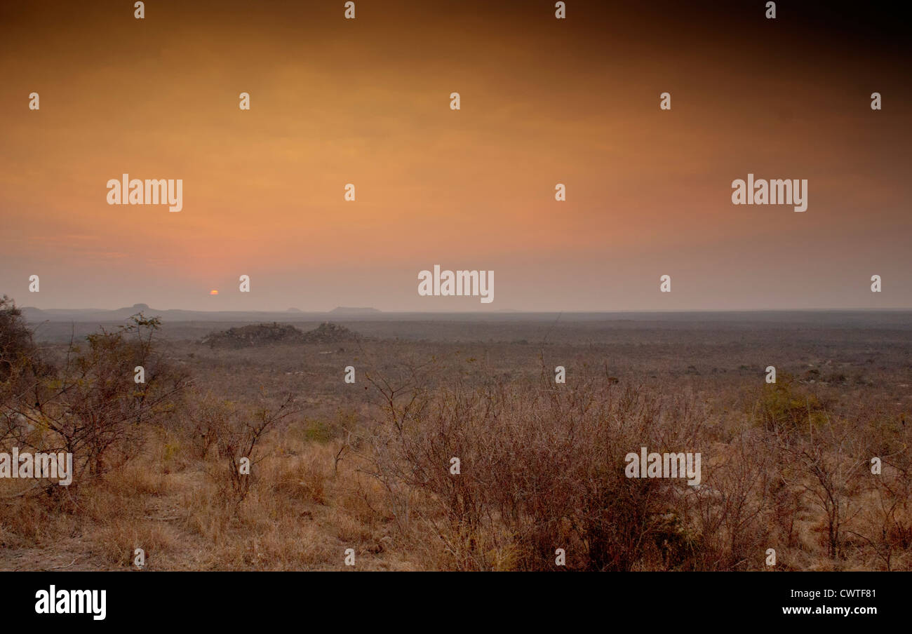 Sonnenuntergang im Krüger Nationalpark, Südafrika Stockfoto