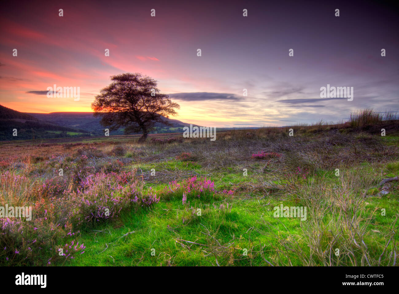 Bis auf die Yorkshire Moors bei Sonnenuntergang, in der Nähe von Hawnby. Stockfoto