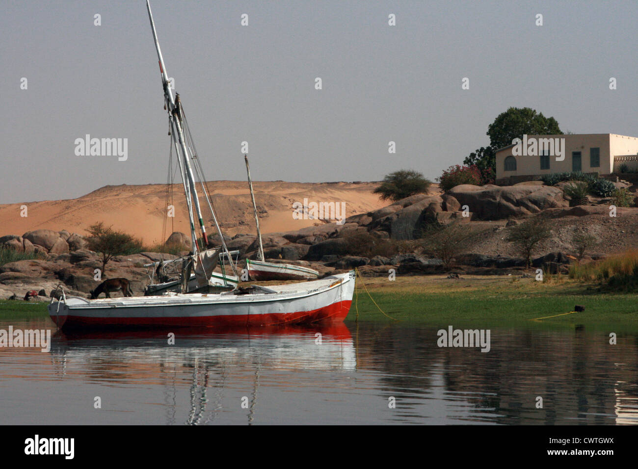 Weiße Segel Boot mit leuchtend roten Wasserleitung vor Anker.  Nil.  Assuan Ägypten Stockfoto
