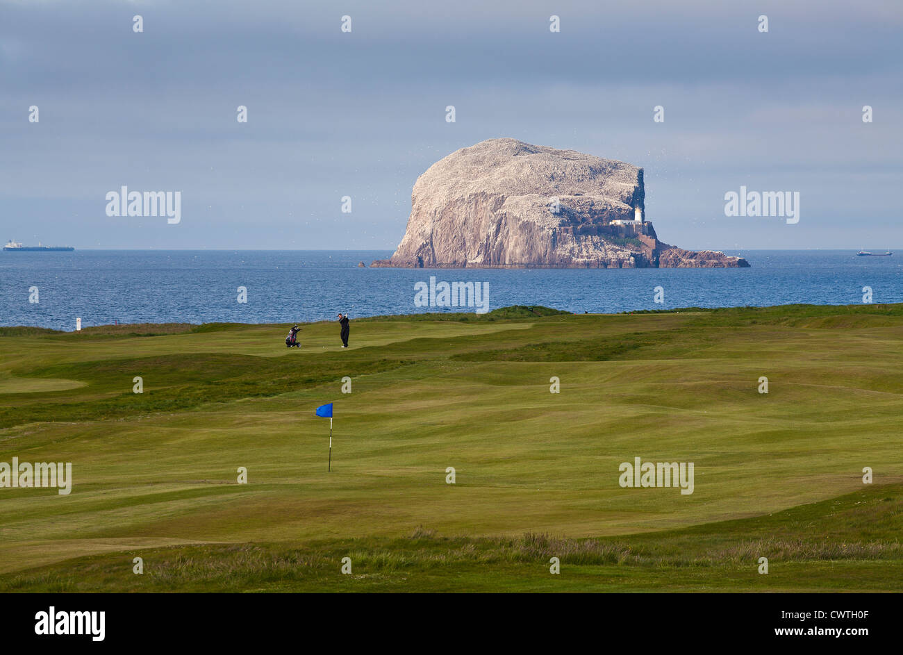 Bass Rock from The Glen Golf Course, North Berwick, East Lothian, Schottland. Stockfoto