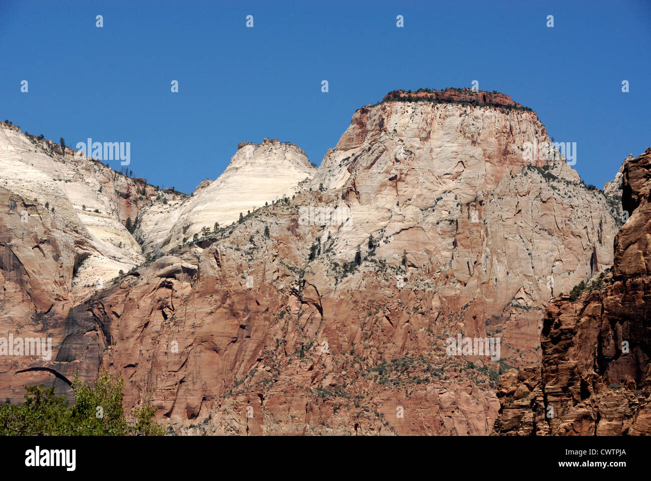 Tafelberge im Zion Nationalpark im Südwesten von Utah Stockfoto