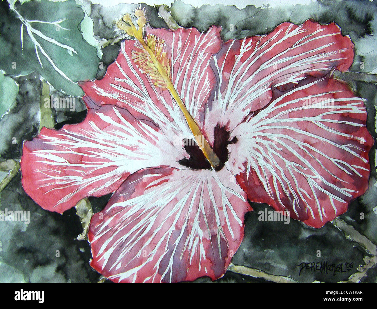 Hibiskus Blume moderne impressionistisches Aquarell Blumen rosa und weiße Kunst druckt Stockfoto