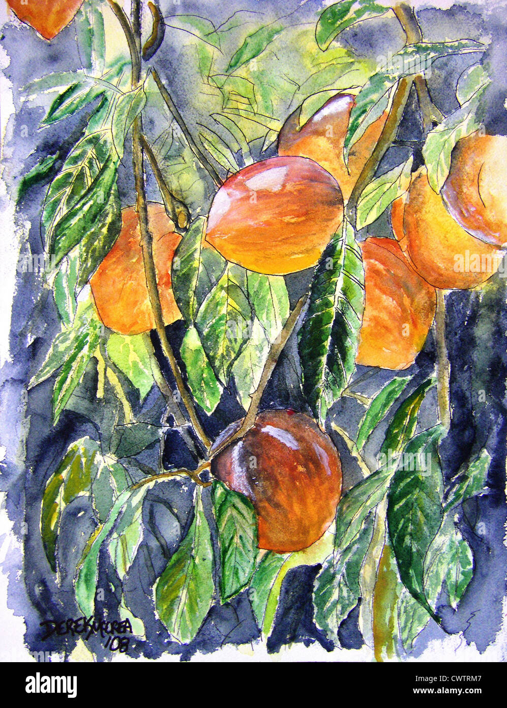 Stillleben Aquarell Pfirsich Obst Pfirsiche Stockfoto